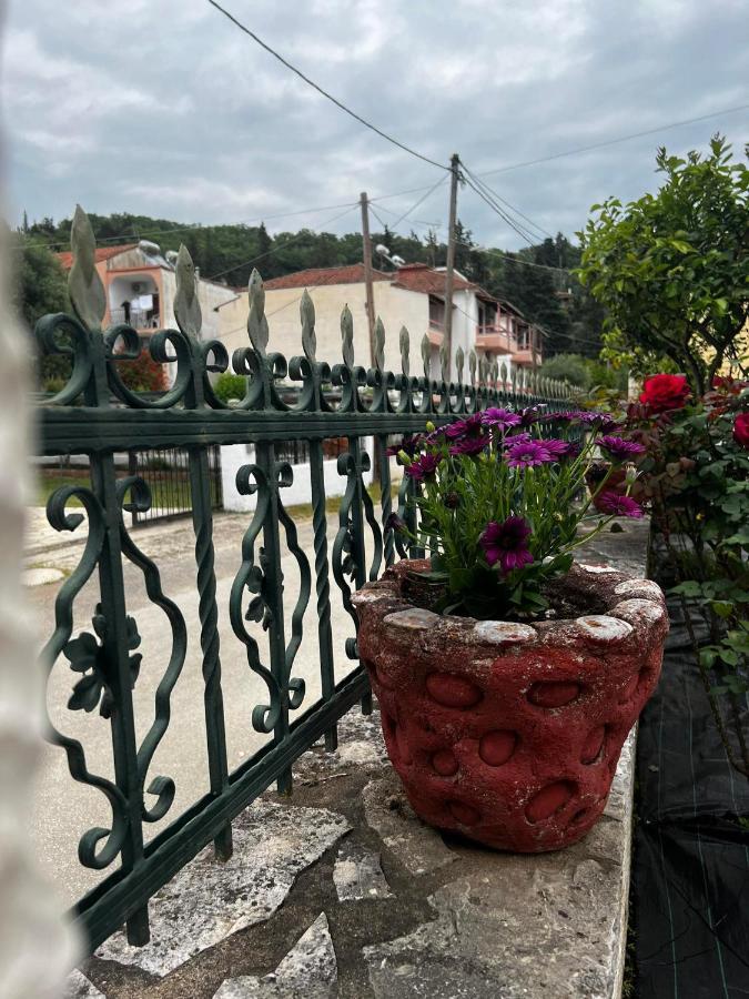 Dionysus Apartments & Studios ซิโวตา ภายนอก รูปภาพ